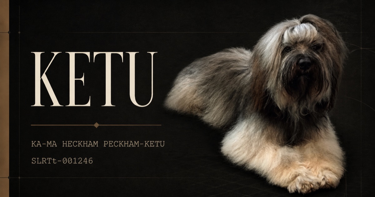 Grafični portret Ketuja z njegovim polnim imenom in rodovno številko